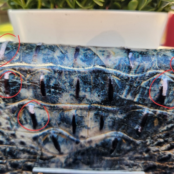 Brahmin Turquoise Wallet - Picture 7 of 7